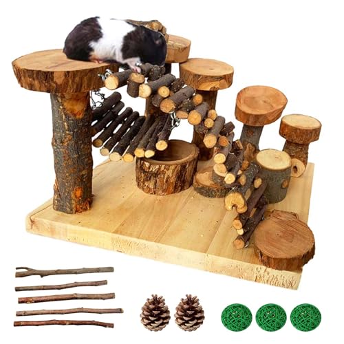 Tfwadmx Holz Hamster Plattform Spielzeug Chinchilla Aktivität Spielplatz Kleintiere Kletterleiter Aktivitätsset Brücke Schüssel Schaukel Ständer für Maus Zwerghamster Rennmäuse Ratte Zuckergleiter von Tfwadmx