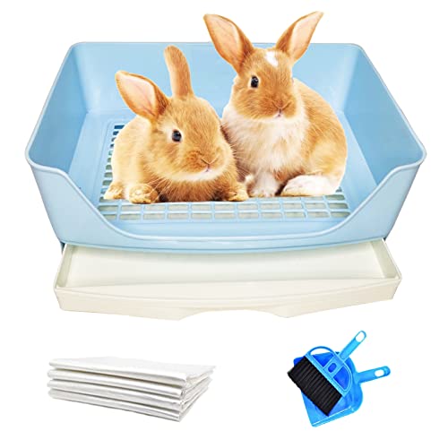 Tfwadmx Kaninchen Katzentoilette, großes Ecktoilette Töpfchen Trainer mit Schublade Größere Haustierpfanne für ausgewachsene Meerschweinchen, Chinchilla, Hamster, Igel und andere Tiere (blau) von Tfwadmx