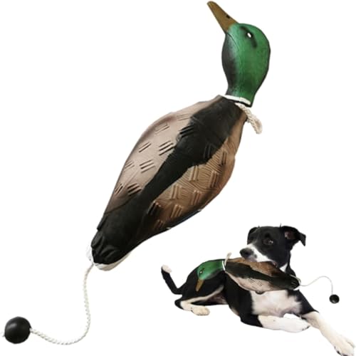 Ente Hundespielzeug, Gun Dog Training Dummy, Dog Dummy Gundog Puppy Training Spielzeug, Eva Material Hund Kauspielzeug mit Wurfknebel, Unzerstörbares Hundespielzeug für Welpen Große Mittlere Kleine von Thaookte