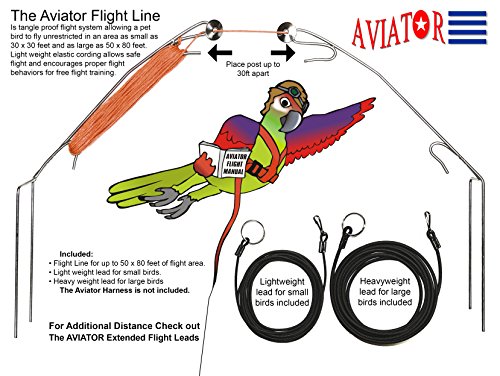 Aviator The Papageien-Flugleine von The Aviator