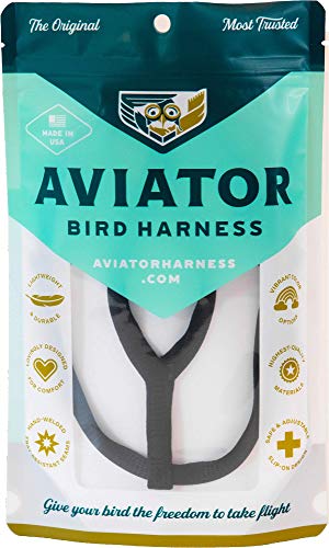 Aviator Vogelgeschirr: Medium, Schwarz von The Aviator