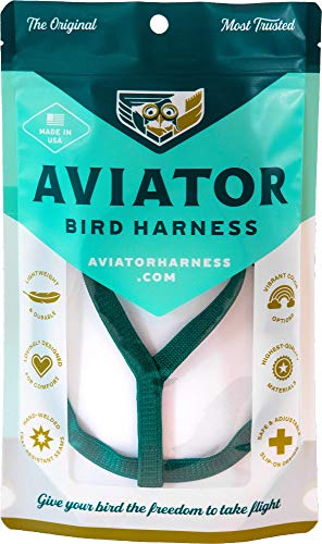 Das Aviator Vogel Geschirr: Medium Grünes von The Aviator