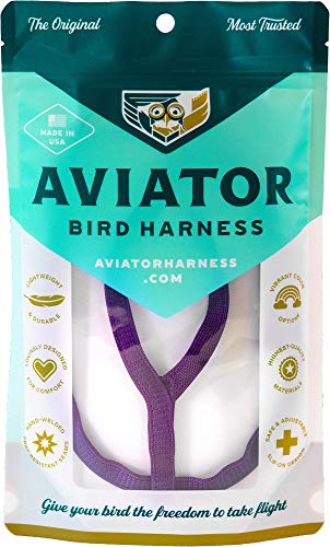 Das Aviator Vogel Geschirr & Lein – Made in America von The Aviator