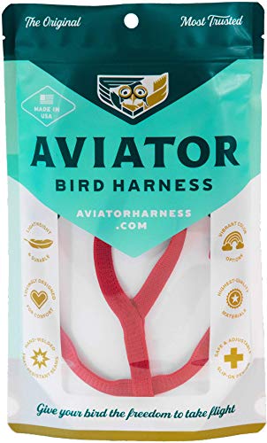 Das Aviator Vogel Geschirr: XX-Large Rotes von The Aviator