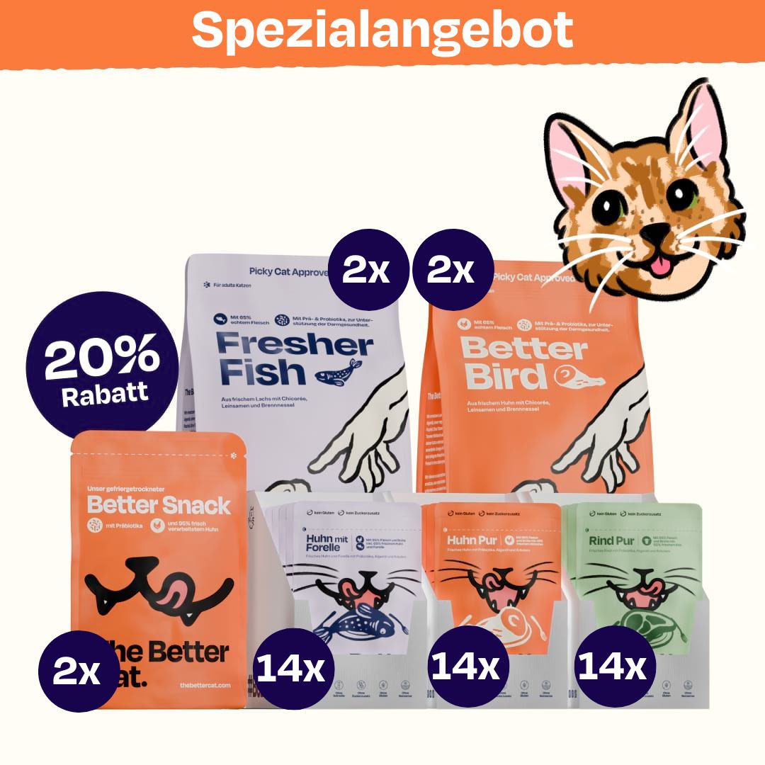 Nassfutter Pur Probier-Pack – Premium Alleinfutter für Katzen, Monoprotein, verschiedene Sorten, 6x85g von The Better Cat Nassfutter Pur Probier-Pack – Premium Alleinfutter für Katzen, Monoprotein, verschiedene Sorten, 6x85g von The Better Cat von The Better Cat