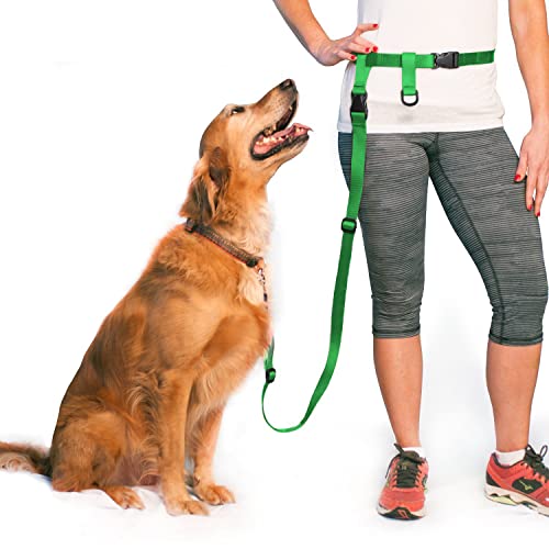 The Buddy System Hundeleine, verstellbare Leine zum Laufen, Joggen, Training und Diensthunde, ideal für kleine, mittelgroße und große Hunde, hergestellt in den USA (grün, normaler Gürtel (Taille 55,9 von The Buddy System