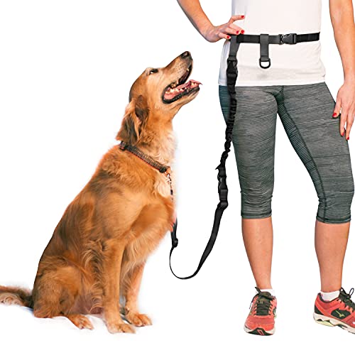 The Buddy System Verstellbare Hundeleine zum Laufen, Joggen und Trainieren, normaler Gürtel (Taille 55,9 cm - 101,6 cm), Bündelleine + Longe-Buster von The Buddy System