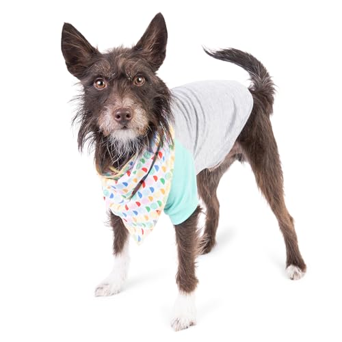 The Dodo Hunde-Bandana und Colorblock-T-Shirt, Größe M, Grau, Grün und Weiß, niedliches passendes Haustier-Kleidungszubehör, Zubehör für den täglichen Gebrauch von The Dodo