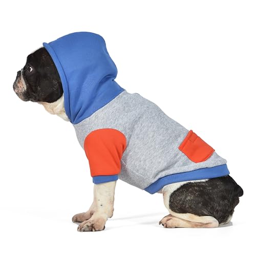 The Dodo Hunde-Kapuzenpullover, grauer Farbblock, Größe M, Alltagskleidung für Hunde, süßes Hunde-Sweatshirt, süße Kleidung für Hunde, The Dodo für Hunde-Kollektion von The Dodo