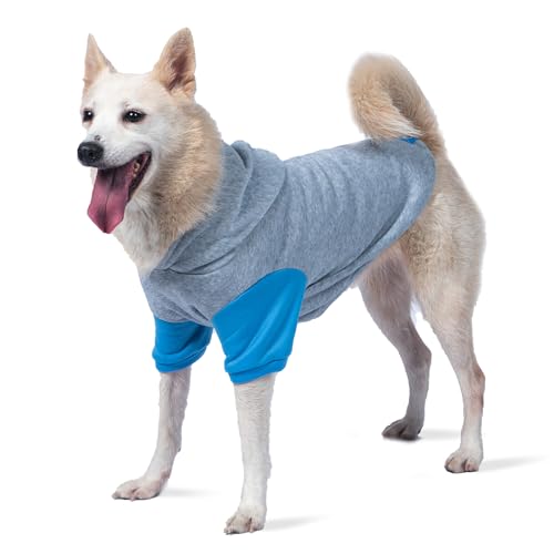 The Dodo Kapuzenpullover für Hunde, Größe L, Hundebekleidung, niedliches Hunde-Sweatshirt, süße Kleidung für Hunde, Kollektion The Dodo für Hunde, Kollektion FF27272-L, Grau und Blau von The Dodo