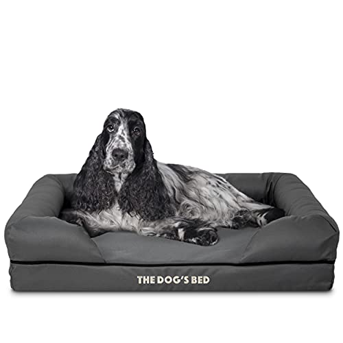 Hundebett Orthopädisch, Premium Memory Foam, wasserdicht, Arthritis Schmerzlinderung, Hüft- und Ellenbogendysplasien, Unterstützung, waschbarer Bezug von The Dog's Balls