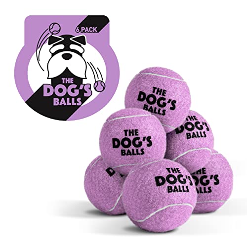 The Dog's Balls, Hunde-Tennisbälle, 6er-Pack, lilafarbenes Hundespielzeug, starker Hunde- und Welpen-Tennisball von The Dog's Balls