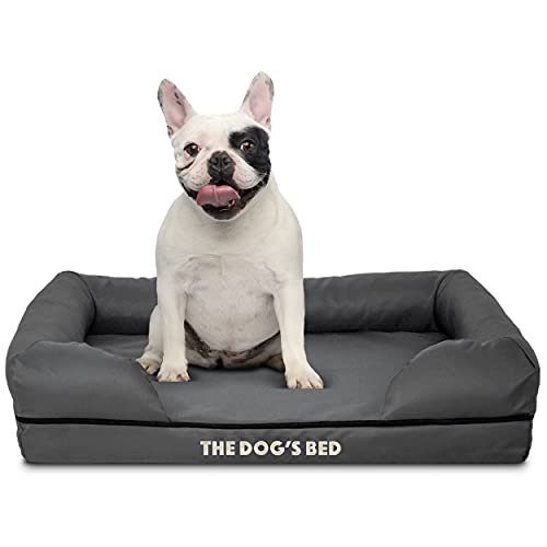 The Dog's Bed Orthopädisches Hundebett aus Memory-Schaum, wasserdicht, klein, grau mit schwarzem Rand, lindert Arthritis und Hüftdysplasie, therapeutisches und unterstützendes Hundebett, waschbare von The Dog's Balls