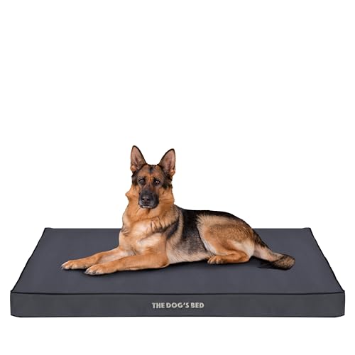 The Dog's Bed Orthopädisches Eierkisten-Schaumstoff-Hundebett mit Standardunterstützung, XL Grau mit schwarzem Rand, wasserdicht, stützendes Hundebett mit austauschbaren Bezügen, tierärztlich von The Dog's Balls