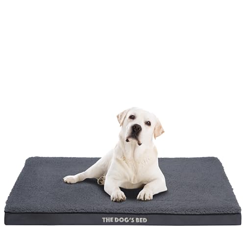 The Dog's Bed Orthopädisches Eierkisten-Schaumstoff-Hundebett mit Standardunterstützung, XL grauer Plüsch, wasserdicht, stützendes Hundebett mit austauschbaren Bezügen, tierärztlich zugelassen von The Dog's Balls