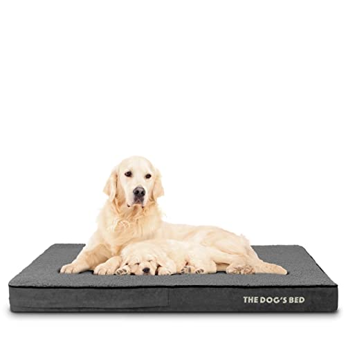 The Dog's Bed Orthopädisches Hundebett XL Grau Plüsch 117x71x10cm Wasserdicht Memory Foam Hundebett von The Dog's Balls