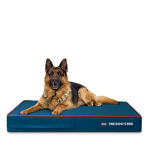 The Dog's Bed Orthopädisches Hundebett aus Memory-Schaum, Größe XL, blaues Oxford mit rotem Rand, UK-Flagge, 117,8 x 71,1 cm, Schmerzlinderung bei Arthritis, Hüft- und Ellenbogendysplasie, nach von The Dog's Balls