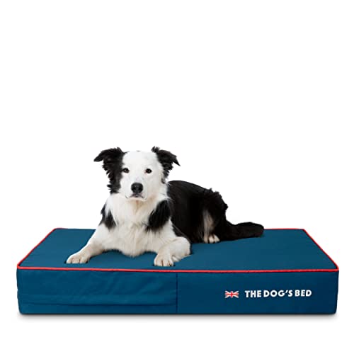 The Dog's Bed Orthopädisches Hundebett aus Memory-Schaum, großes blaues Oxford mit rotem Rand, UK-Flagge, 101,6 x 63,5 cm, Schmerzlinderung bei Arthritis, Hüft- und Ellenbogendysplasie, postoperativ, von The Dog's Balls