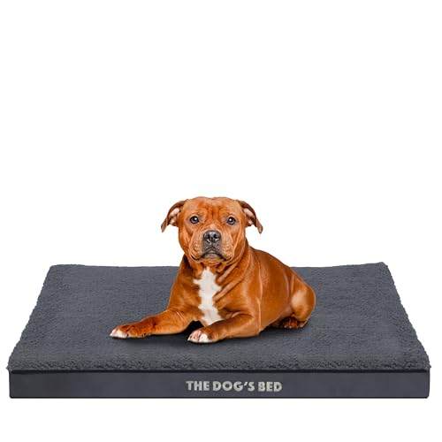 The Dog's Bed Orthopädisches Hundebett aus Schaumstoff, Größe M, wendbar und Plüsch, Schmerzlinderung bei Arthritis, Hüft- und Ellenbogendysplasie, postoperativ, stützend, beruhigend, wasserdicht, von The Dog's Balls