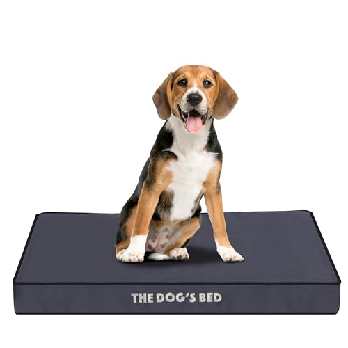 The Dog's Bed Orthopädisches Hundebett aus Schaumstoff, mittelgrau mit schwarzem Rand, Schmerzlinderung bei Arthritis, Hüft- und Ellenbogendysplasie, nach Operationen, stützend, beruhigend, von The Dog's Balls