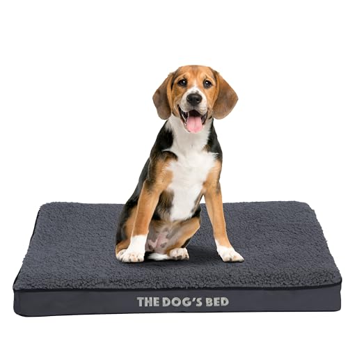 The Dog's Bed Orthopädisches Hundebett aus Schaumstoff, mittelgroß, wendbar und Plüsch, Schmerzlinderung bei Arthritis, Hüft- und Ellenbogendysplasie, postoperativ, stützend, beruhigend, wasserdicht, von The Dog's Balls