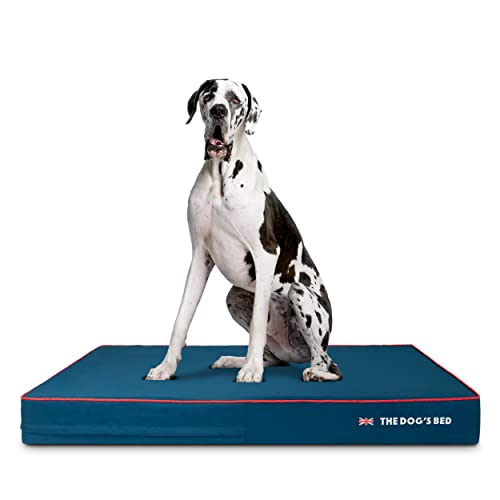 The Dog's Bed Orthopädisches kühlendes Hundebett aus Memory-Schaum, XXL, blaues Oxford mit rotem Rand, Schmerzlinderung bei Arthritis, Hüft- und Ellenbogendysplasie, nach Operationen, stützend, von The Dog's Balls