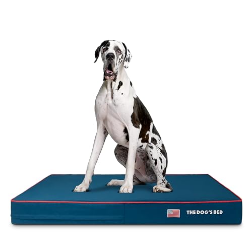 The Dog's Bed Orthopädisches kühlendes Hundebett aus Memory-Schaum, XXL, blaues Oxford mit rotem Rand, USA-Flagge, Schmerzlinderung bei Arthritis, Hüft- und Ellenbogendysplasie, nach Operationen, von The Dog's Balls