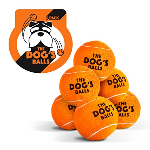 The Little Dog's Balls, Hunde-Tennisbälle, 6er-Pack, Orange, 4,8 cm Durchmesser, Hundespielzeug, starker Hunde- & Welpenball für Training, Spielen, Bewegung & Apportieren von The Dog's Balls