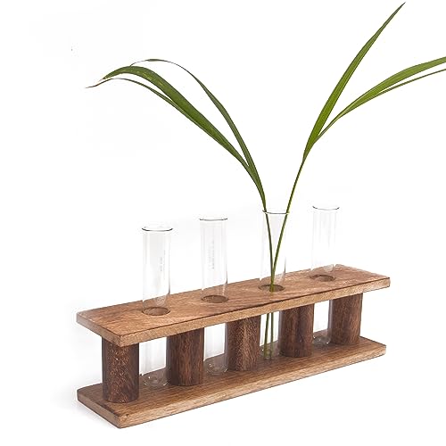 Pflanzenvermehrungsstation aus Holz mit vier Reagenzgläsern aus Glas für den Innenbereich, Desktop-Terrarium für Hydrokultur, Wasserpflanzen, Schneiden, Blumenvase, Pflanzgefäß, Zuhause, Büro, Garten, von The Great Indian Bazaar