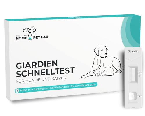 The Home Pet Lab 1 x Giardien Schnelltest Hund & Katze - Giardien-Test zuverlässig als Test bei Darmparasiten und Durchfall - Für Hunde & Katzen bei Giardia (1 x Test) von The Home Pet Lab