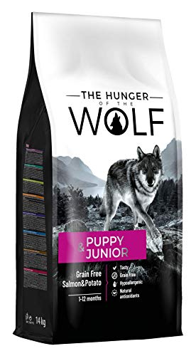 The Hunger of the Wolf Hundefutter für Welpen und Junghunde aller Rassen und für Hunde mit Allergien, Fein zubereitetes Trockenfutter ohne Getreide mit Lachs und Kartoffeln - 14kg von The Hunger of the Wolf