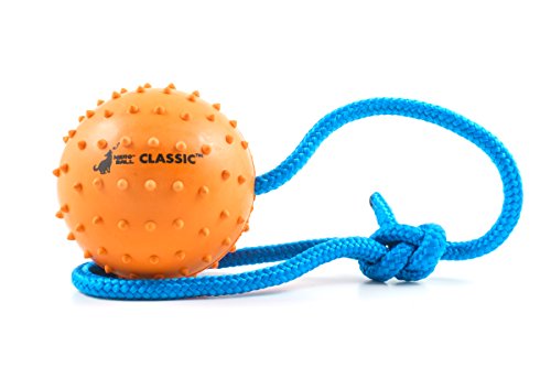 Der Nero Ball TM – Gummi Hund Ball Launcher – Training, Bewegung und Belohnung Spielzeug – Police K-9 – Schutzhund – Hunde-Kauspielzeug (7 cm) von The Nero Ball