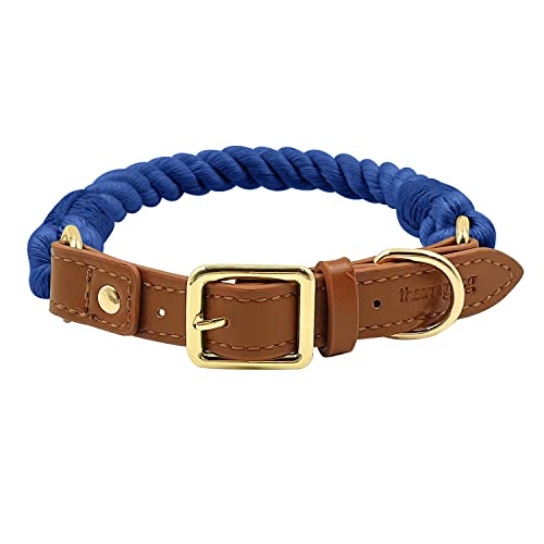 The Smug Dog Boston Hundehalsband, groß, strapazierfähig, stilvoll, Baumwolle, mit D-Ring, Lederbesatz und Schnalle, bequemes Haustierhalsband für Hunde, Blau von The Smug Dog