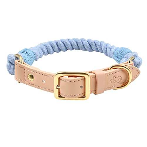 The Smug Dog Starburst Hundehalsband Schöne und einzigartige Hundehalsbänder mit Lederbändern und Metallschnallen Passende Leine erhältlich, klein, blauer Himmel) von The Smug Dog