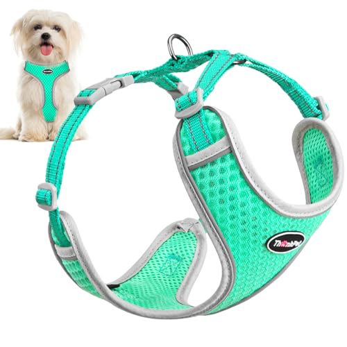 ThinkPet No-Pull Hundegeschirr Leine Set, Atmungsaktiv Brustgeschirr für Kleine Mittlere Große Hunde, Einstellbar Weich Laufgeschirre Sicher Kontrolle Gepolstert Reflektierendes Sicherheitsgeschirr von ThinkPet