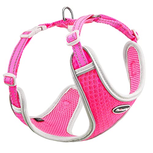 ThinkPet No-Pull Hundegeschirr Leine Set, Atmungsaktiv Brustgeschirr für Kleine Mittlere Große Hunde, Einstellbar Weich Laufgeschirre Sicher Kontrolle Gepolstert Reflektierendes Sicherheitsgeschirr von ThinkPet