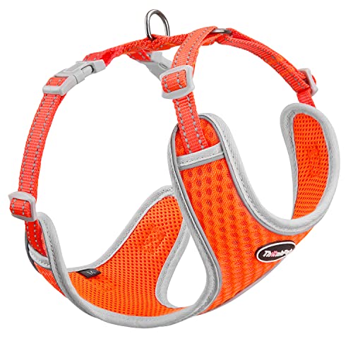 ThinkPet No-Pull Hundegeschirr Leine Set, Atmungsaktiv Brustgeschirr für Kleine Mittlere Große Hunde, Einstellbar Weich Laufgeschirre Sicher Kontrolle Gepolstert Reflektierendes Sicherheitsgeschirr von ThinkPet