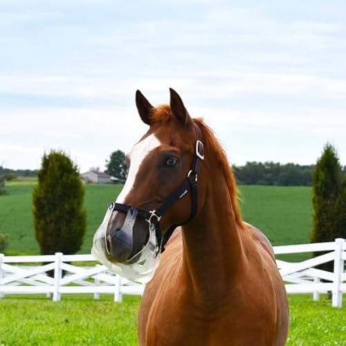 ThinLine Langsames Fressen Maulkorb für Pferde, Mini/Pony, 3,5 + cm Loch von Thinline