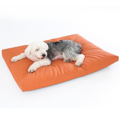 Thirdream Leder-Hundebett für große Hunde, orthopädische Unterstützung, verdicktes Hundebett – langlebig, kratzfest, leicht zu reinigen, wasserdicht und rutschfest, 137 cm L x 101 cm B x 12 cm von Thirdream