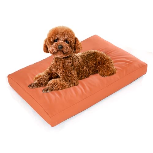 Thirdream Leder-Hundebett für große Hunde, orthopädische Unterstützung, verdicktes Hundebett – langlebig, kratzfest, leicht zu reinigen, wasserdicht und rutschfest, 75 cm L x 50 cm B x 12 cm T von Thirdream