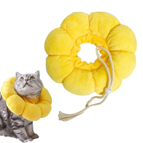 Thoquene Weich Katzen Halskrause, Einstellbarer Halskrausen, Sonnenblume Leckschutz Katze von Thoquene