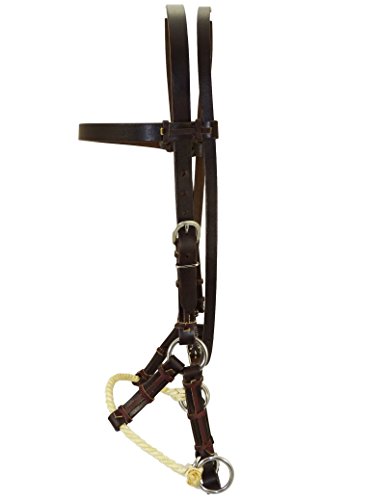 Thor Equine – 1x gebissloses Sidepull mit Single Rope Nasenriemen aus 100% Rindsleder mit Edelstahlschnallen für Pferde – Sanfte Alternative aus traditioneller Herstellung & verstellbare Schnalle von Thor Equine