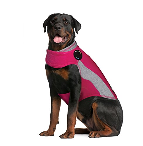 Thundershirt Polo - Beruhigungsweste für Hunde von Thundershirt