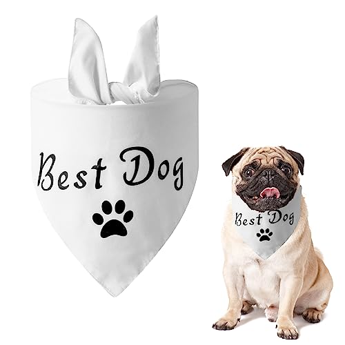 Bestes Hunde-Bandana, Verlobungsgeschenk, Haustier-Schal, Lätzchen, Herbst/Winter, Taschentuch, Halstücher, Hochzeitsankündigung, Antrag, Geschenke für Hundehalsumfang bis 53,3 cm von TiLanmiy