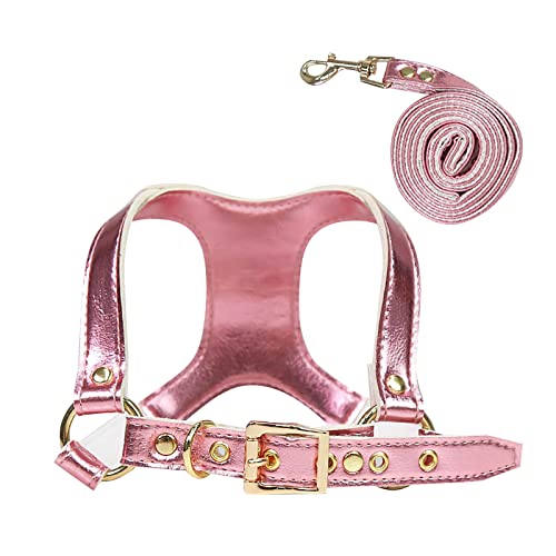 Schleppleine Wasserabweisend Hundekatze Leine/in Tau Leinen Für Hunde (Pink, S) von TianWlio