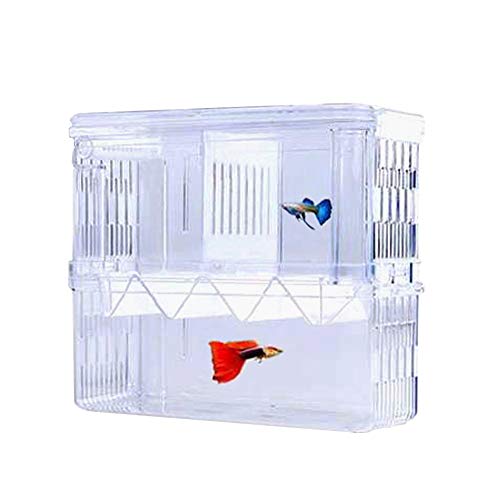 Tiberham Fischzuchtbox, Acryl, schwimmende Fischbruterei-Isolationsbox, doppellagige Brutkasten, Brutkasten, Aufzuchtfalle, Aquarium, Aquarium, Fischerziehungsbehälter, Trennwand mit Saugnäpfen, L von Tiberham