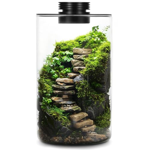 Tisch-Terrarium aus Glas mit Wachstumslicht für Sukkulentenmoos, Glaspflanzen-Terrarium, Miniatur-Landschaft, Aquarium, Innenpflanzenwachstum, Büro, Heimdekoration, Pflanzenliebhaber, Geschenke von Tideme