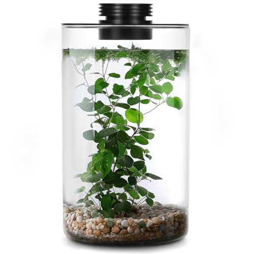 Tisch-Terrarium aus Glas mit Wachstumslicht für Sukkulentenmoos, Glaspflanzen-Terrarium, Miniatur-Landschaft, Aquarium, Innenpflanzenwachstum, Büro, Heimdekoration, Pflanzenliebhaber, Geschenke von Tideme