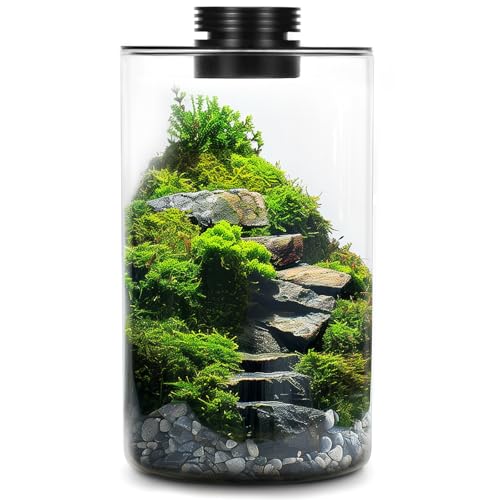 Tisch-Terrarium aus Glas mit Wachstumslicht für Sukkulentenmoos, Glaspflanzen-Terrarium, Miniatur-Landschaft, Aquarium, Innenpflanzenwachstum, Büro, Heimdekoration, Pflanzenliebhaber, Geschenke von Tideme