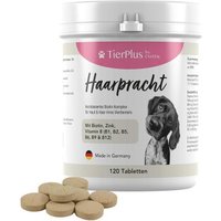 TierPlus ® Haarpracht Tabletten - hochdosiertes Biotin Komplex für Hunde von TierPlus